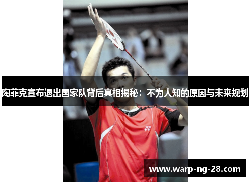 陶菲克宣布退出国家队背后真相揭秘:不为人知的原因与未来规划 陶菲克宣布退出国家队背后真相揭秘:不为人知的原因与未来规划