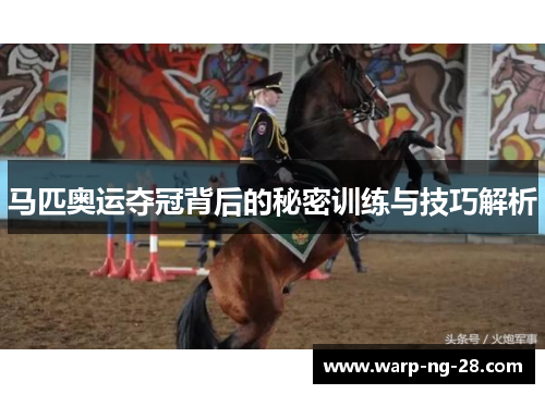 马匹奥运夺冠背后的秘密训练与技巧解析 马匹奥运夺冠背后的秘密训练与技巧解析