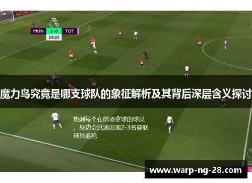 魔力鸟究竟是哪支球队的象征解析及其背后深层含义探讨